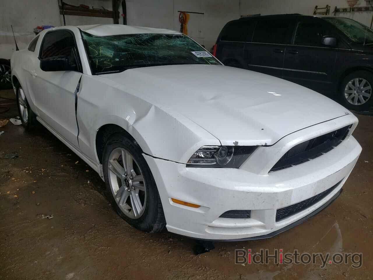 Photo 1ZVBP8AM9D5282519 - FORD MUSTANG 2013