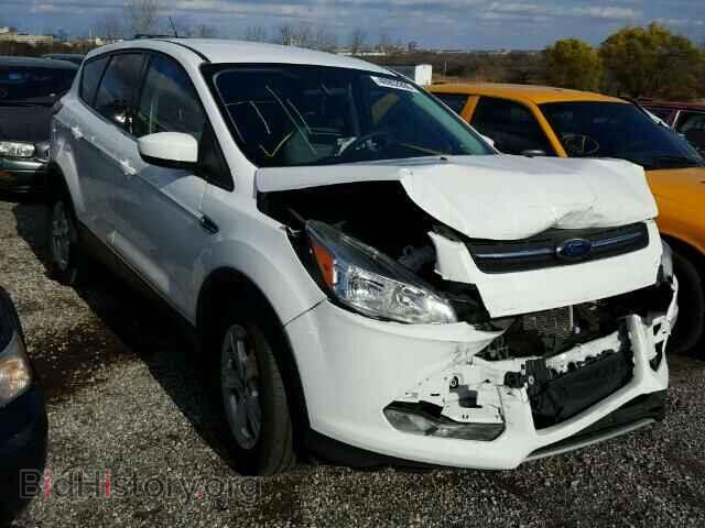 Photo 1FMCU0GX7EUB09829 - FORD ESCAPE 2014