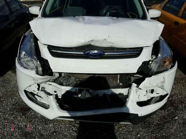 2014 FORD ESCAPE - VIN: 1FMCU0GX7EUB09829 - Photo 7