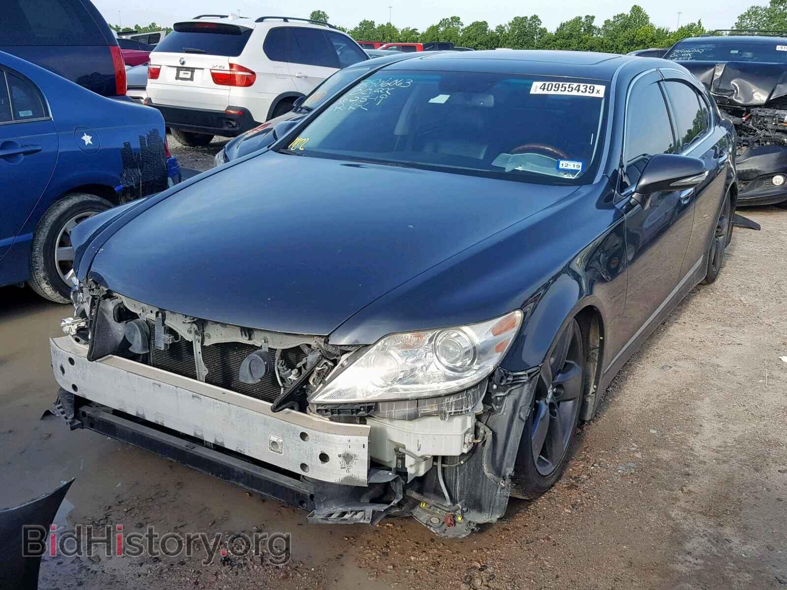 2010 LEXUS LS460 - VIN: JTHBL5EFXA5097964 - Фото 2
