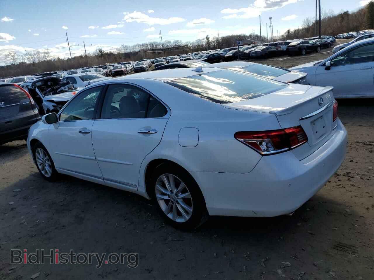 2011 LEXUS ES350 - VIN: JTHBK1EG0B2469092 - Фото 2