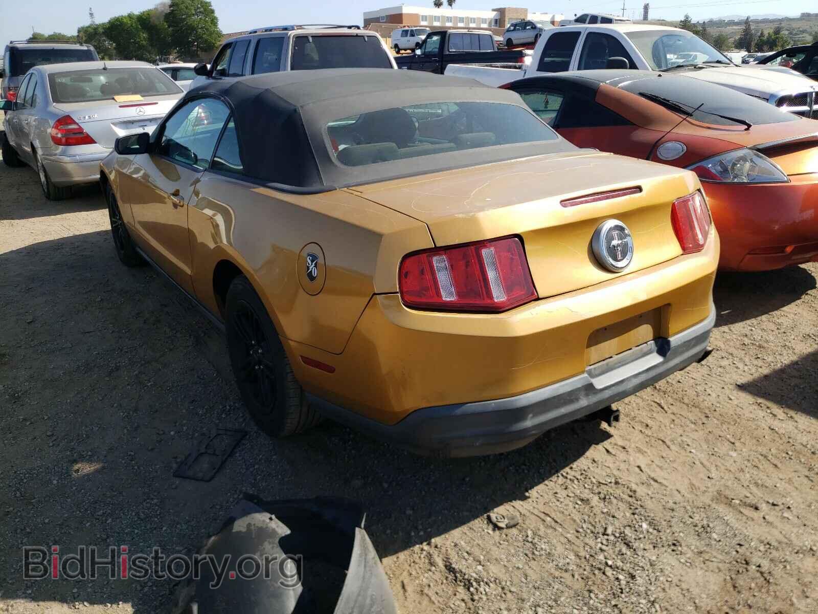 2010 FORD MUSTANG - VIN: 1ZVBP8EN2A5126367 - Фото 3