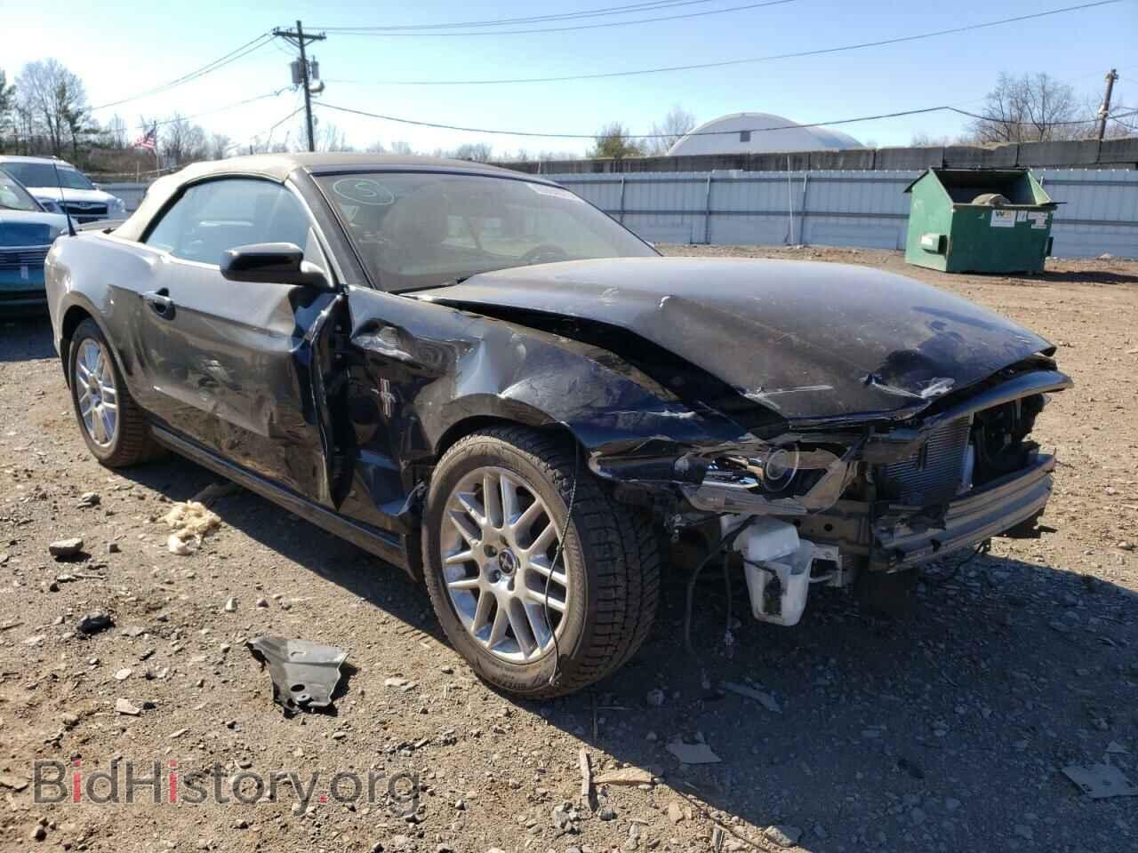 2014 FORD MUSTANG - VIN: 1ZVBP8EM8E5318003 - Фото 4