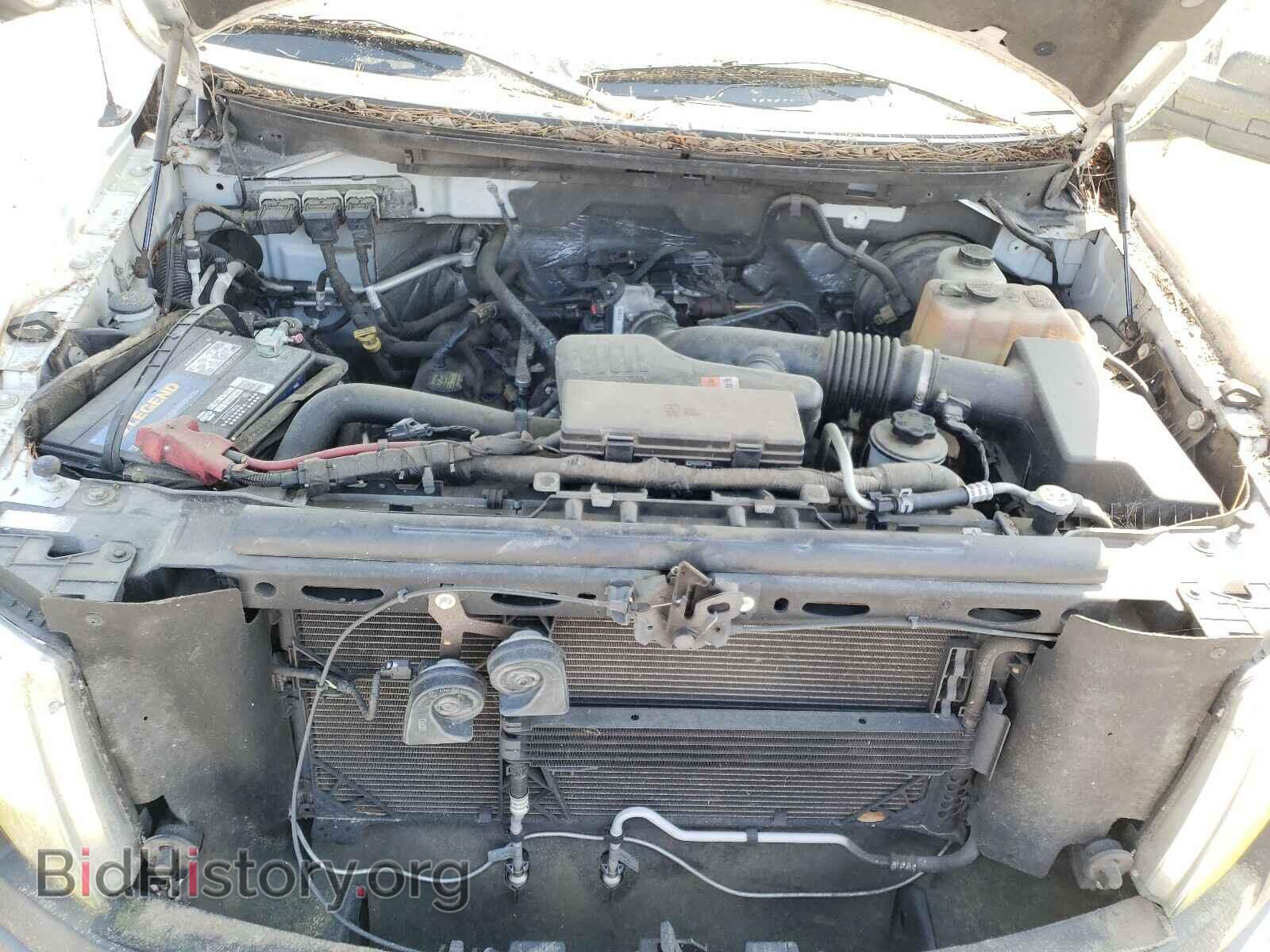 2010 FORD F150 - VIN: 1FTMF1CW0AFD12260 - Фото 7