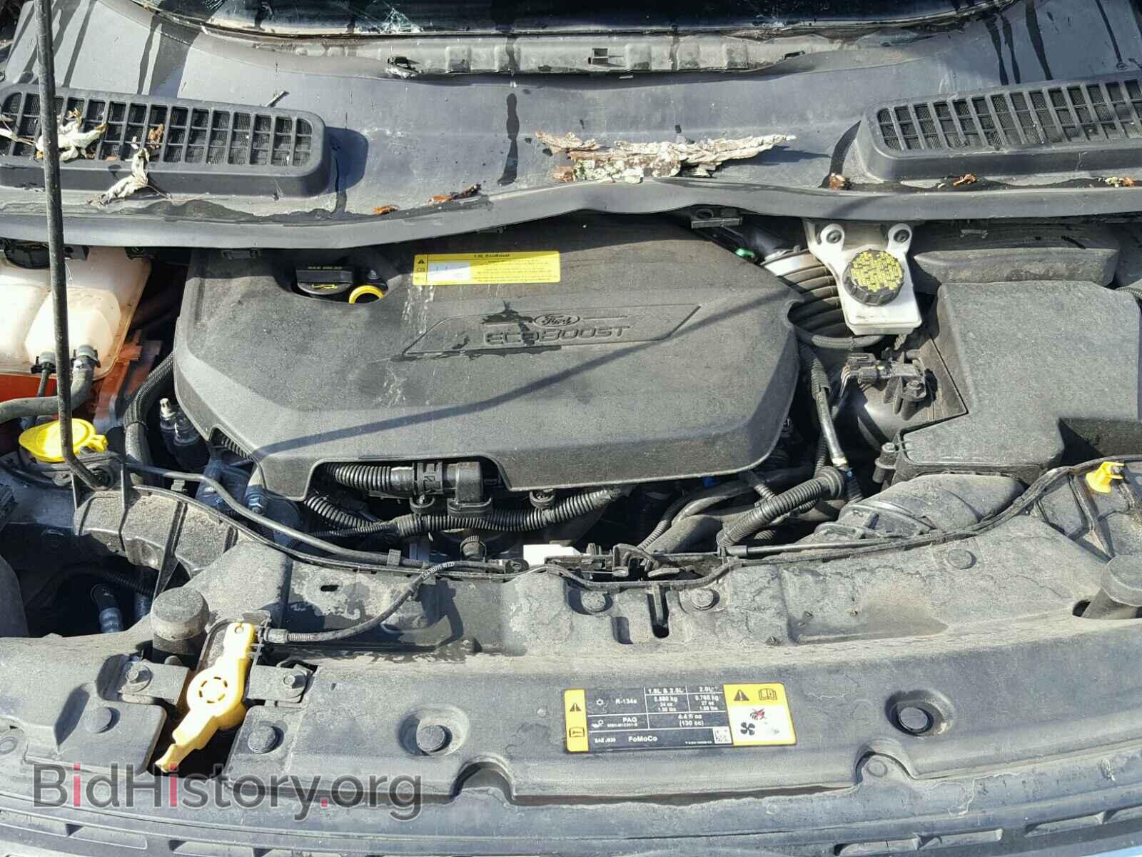 2013 FORD ESCAPE - VIN: 1FMCU0GX2DUB02012 - Photo 7