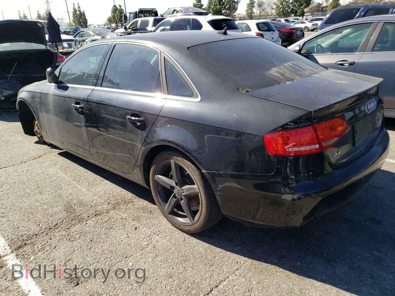 2010 AUDI A4 - VIN: WAUEFAFL7AN064341 - Фото 2