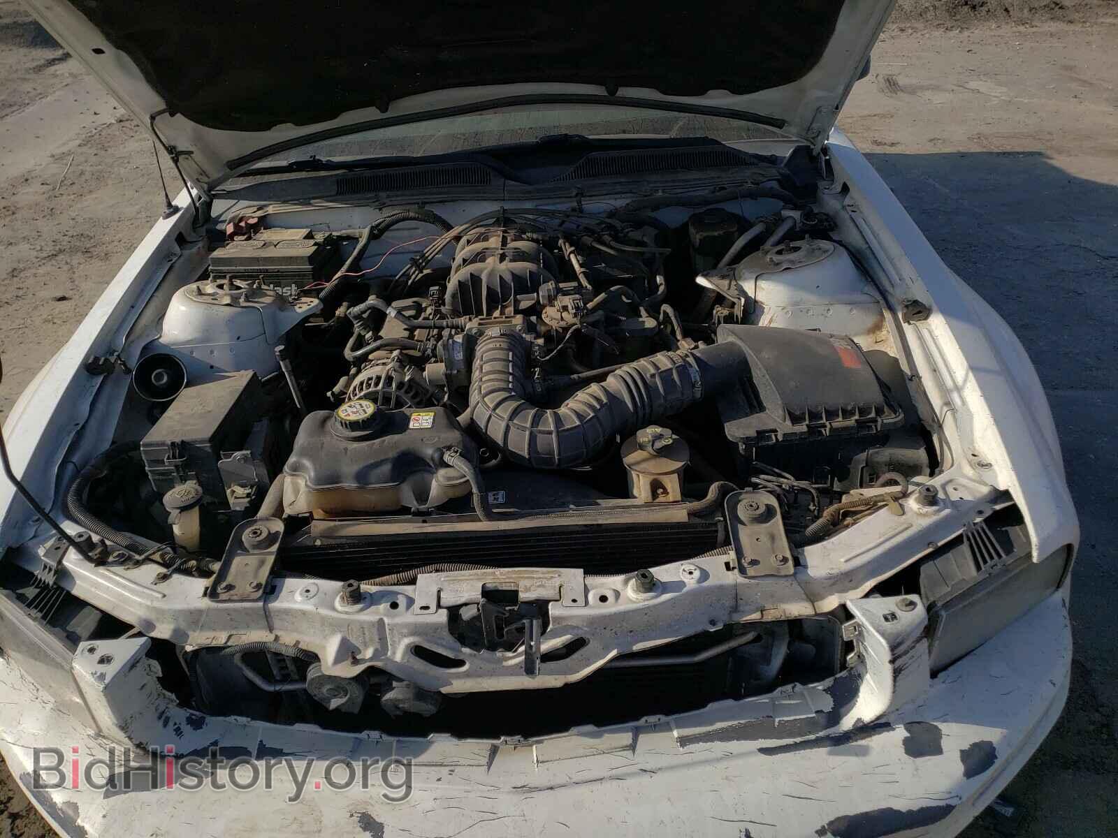 2006 FORD MUSTANG - VIN: 1ZVHT80N065240808 - Фото 7