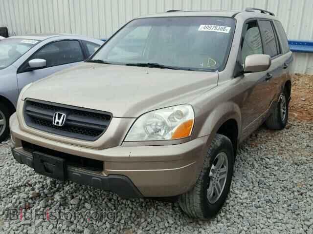 2005 HONDA PILOT - VIN: 5FNYF18635B034264 - Фото 2