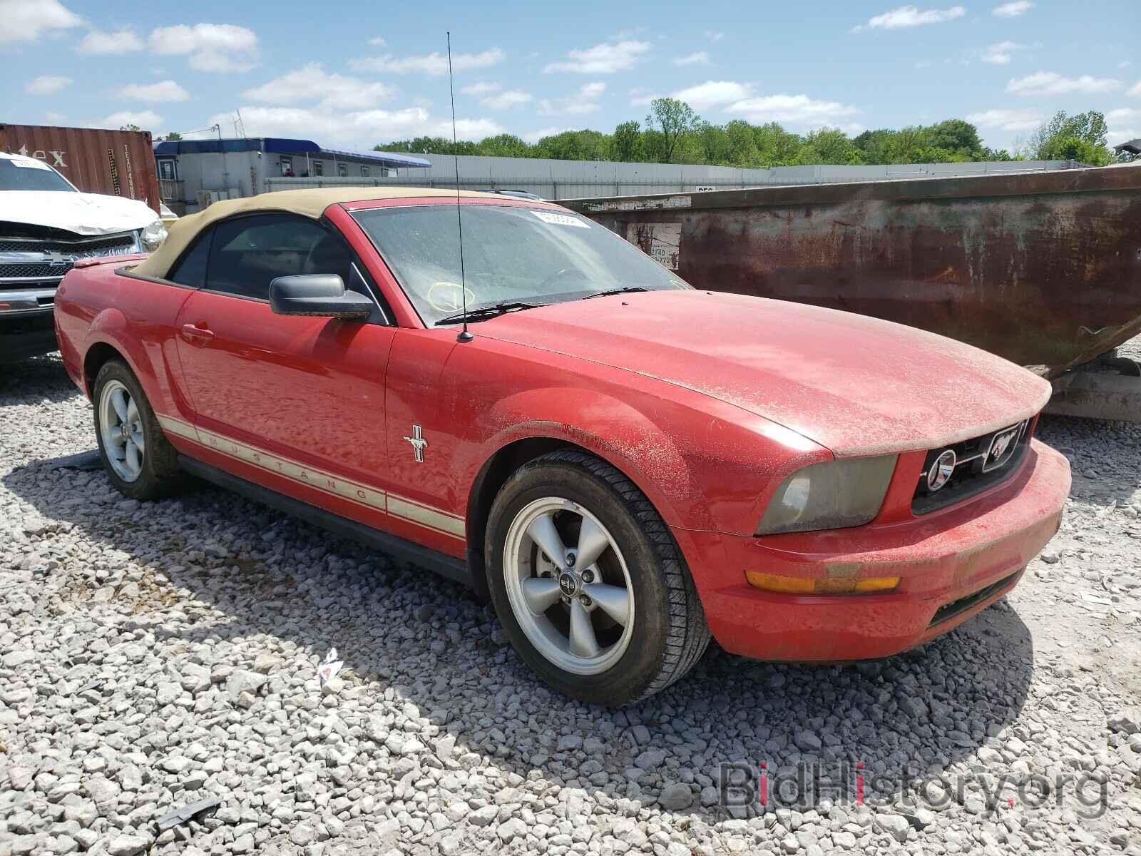 Photo 1ZVHT84N885166258 - FORD MUSTANG 2008
