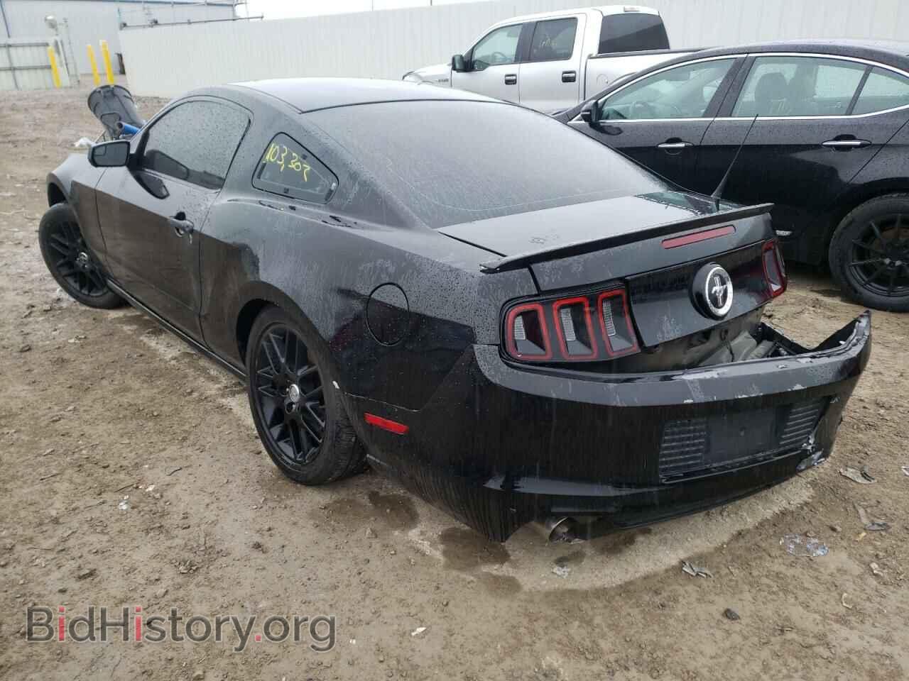 2014 FORD MUSTANG - VIN: 1ZVBP8AM1E5319726 - Фото 3