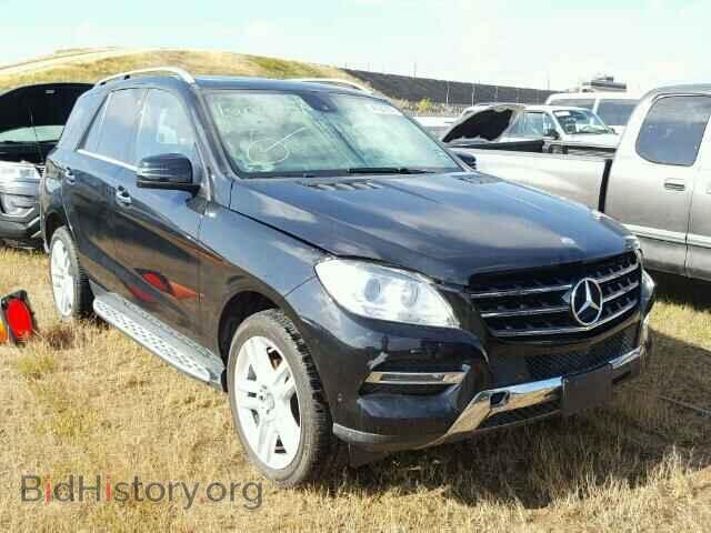 Photo 4JGDA5JB9EA390749 - MERCEDES-BENZ ML 350 2014