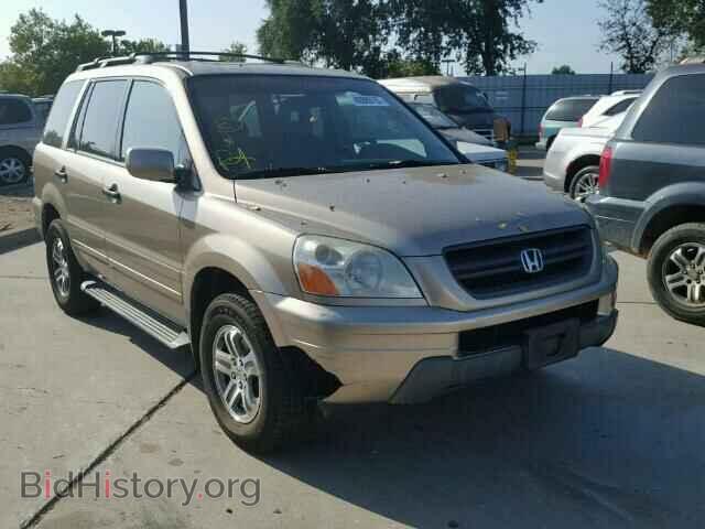 Фотография 2HKYF18665H539703 - HONDA PILOT 2005