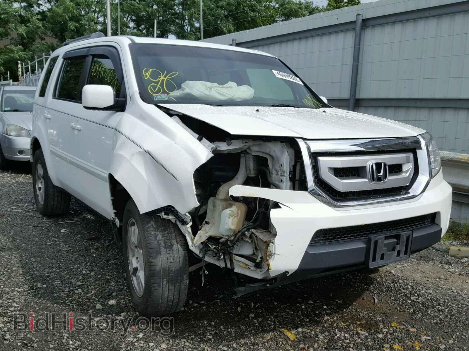 Photo 5FNYF4H46BB011976 - HONDA PILOT EX 2011