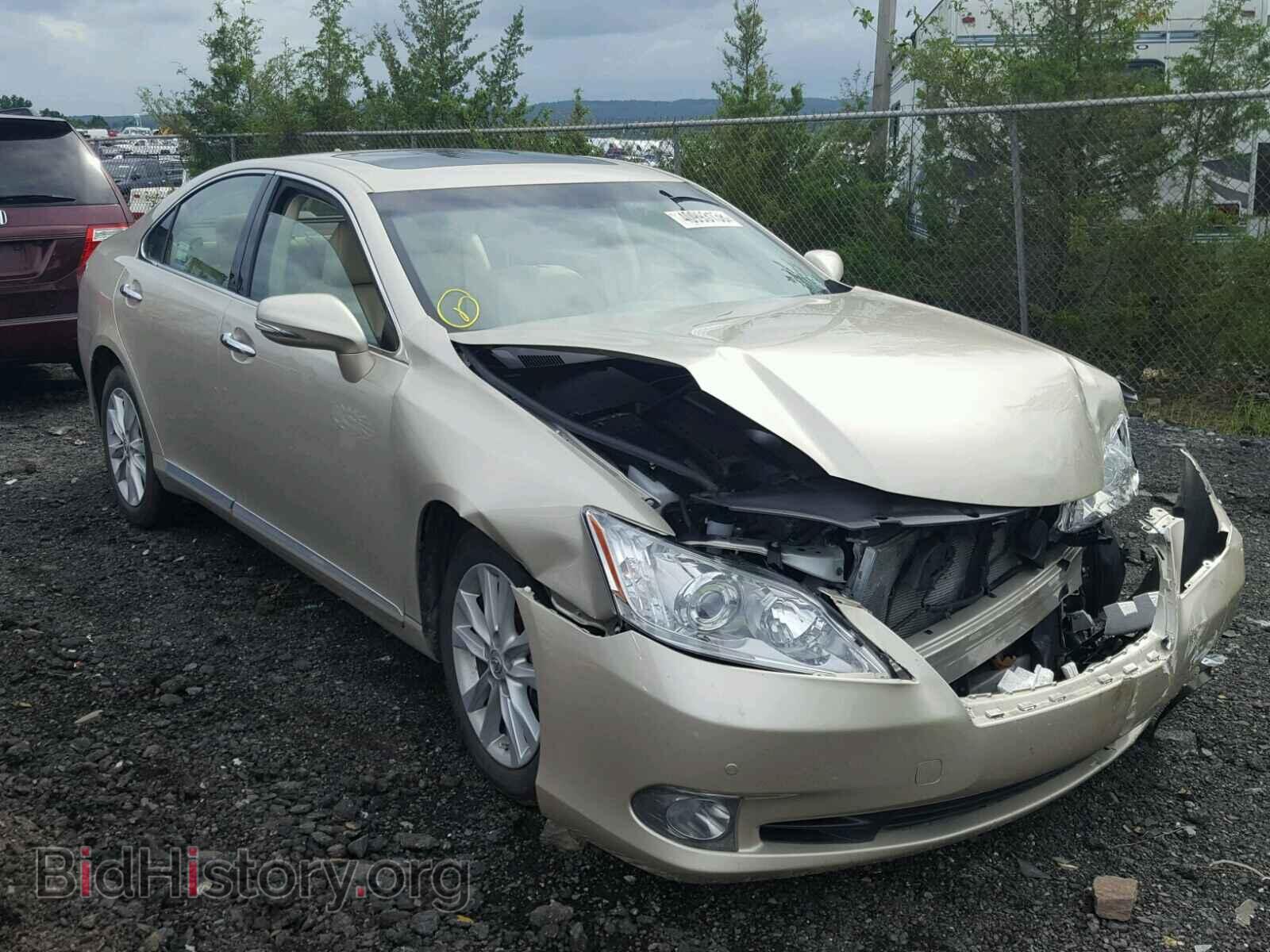 Фотография JTHBK1EG3C2486065 - LEXUS ES350 2012