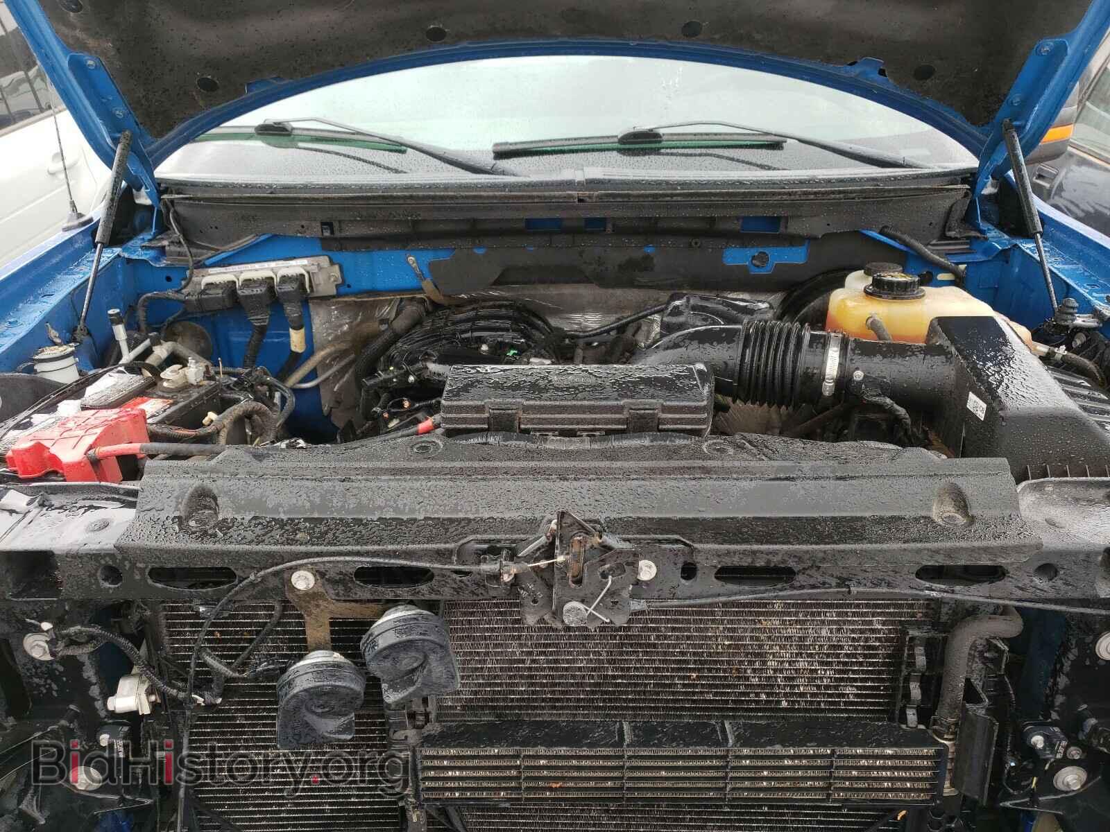 2013 FORD F150 - VIN: 1FTEW1CMXDFD68651 - Фото 7