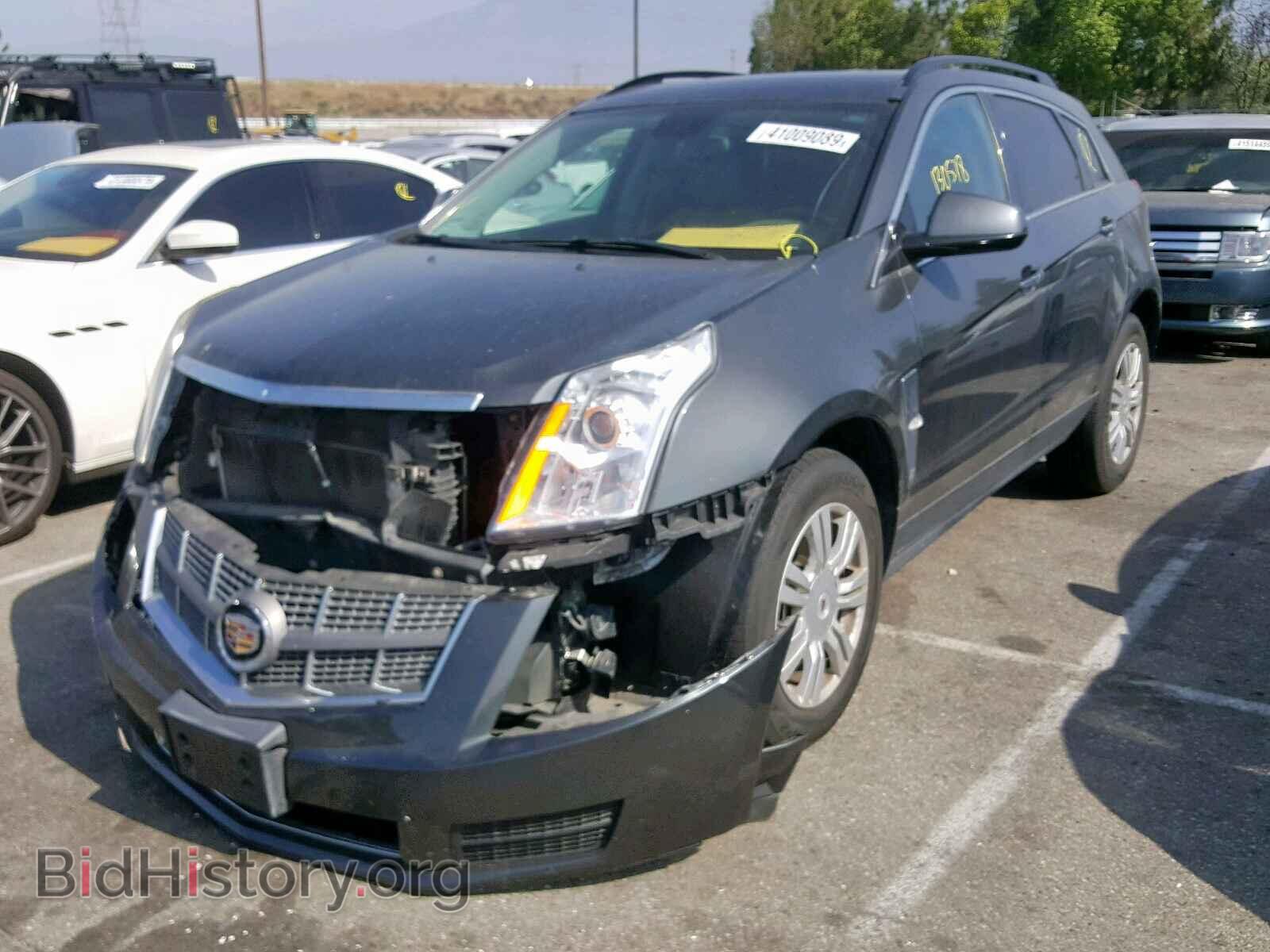 2011 CADILLAC SRX - VIN: 3GYFNGEY9BS610326 - Фото 2