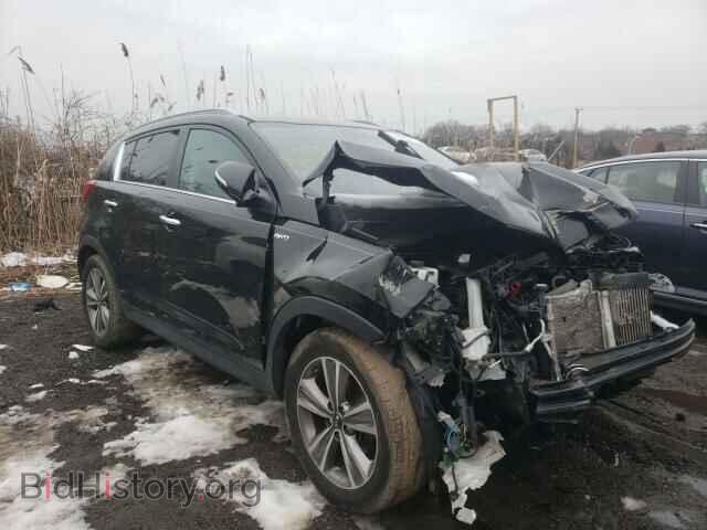 Фотография KNDPCCA68E7653751 - KIA SPORTAGE 2014