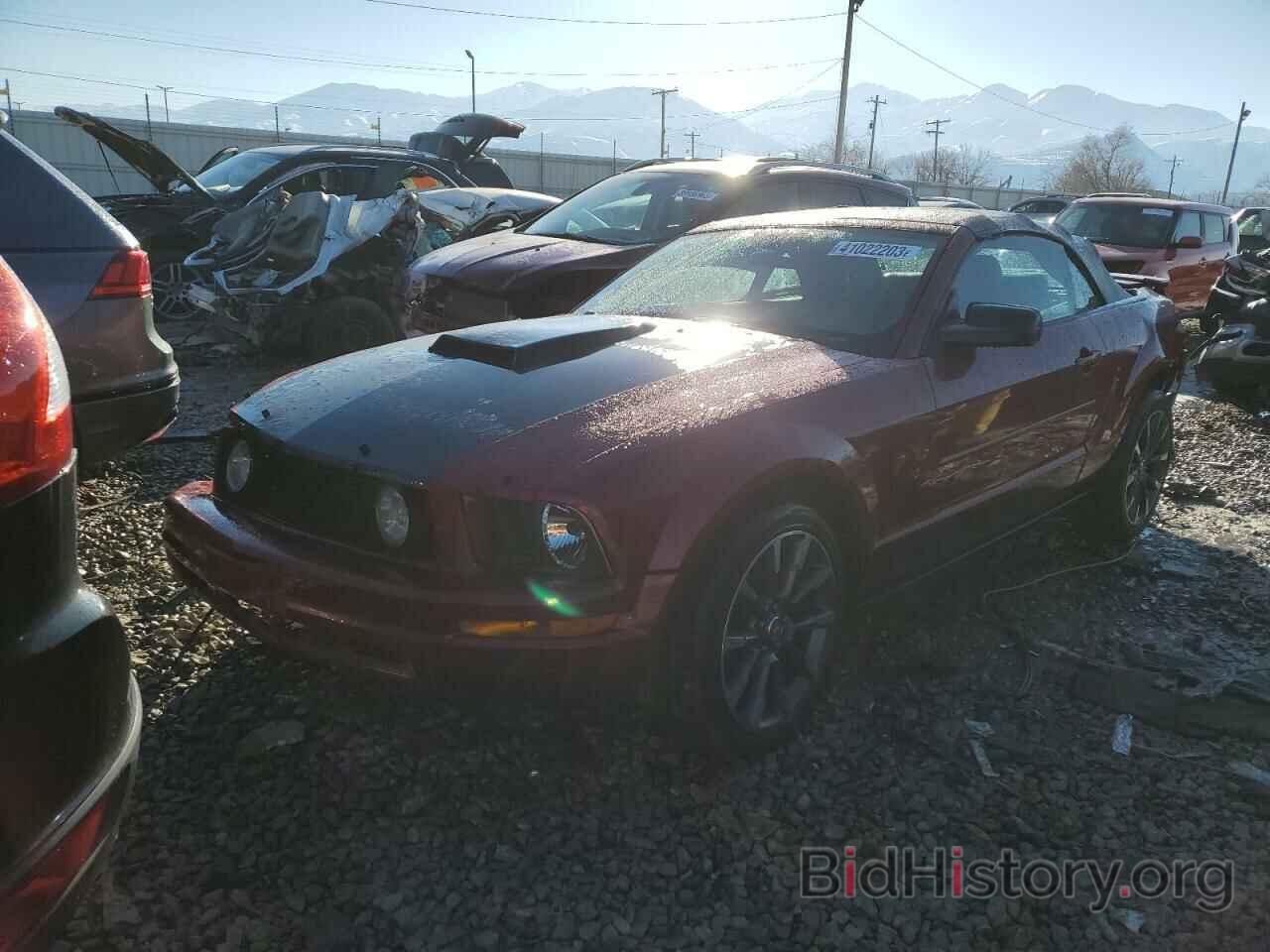 Photo 1ZVFT84N675205807 - FORD MUSTANG 2007