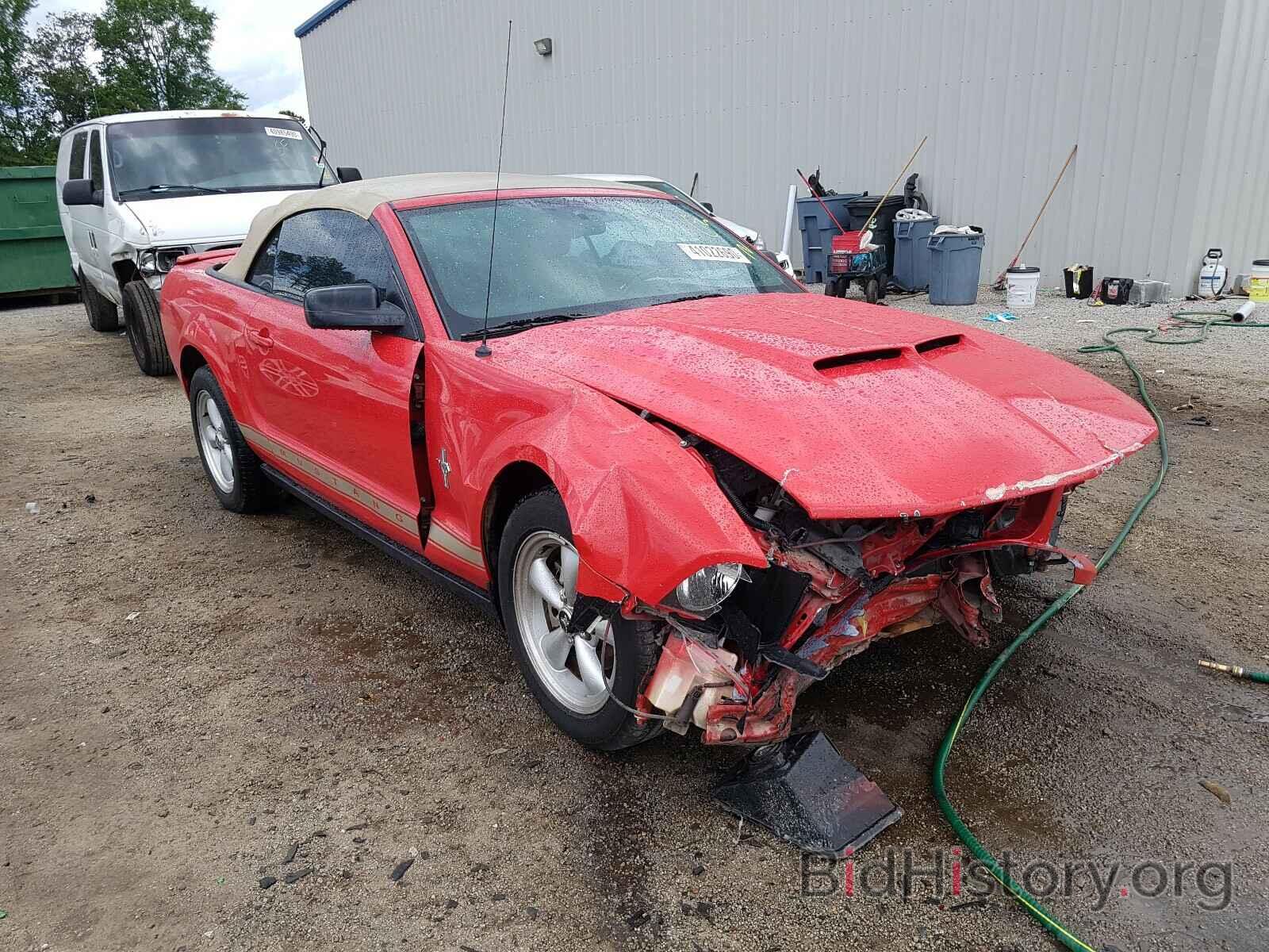 Photo 1ZVHT84N885110921 - FORD MUSTANG 2008