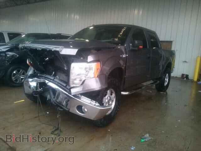 2010 FORD F150 - VIN: 1FTEW1E87AFA86320 - Фото 2