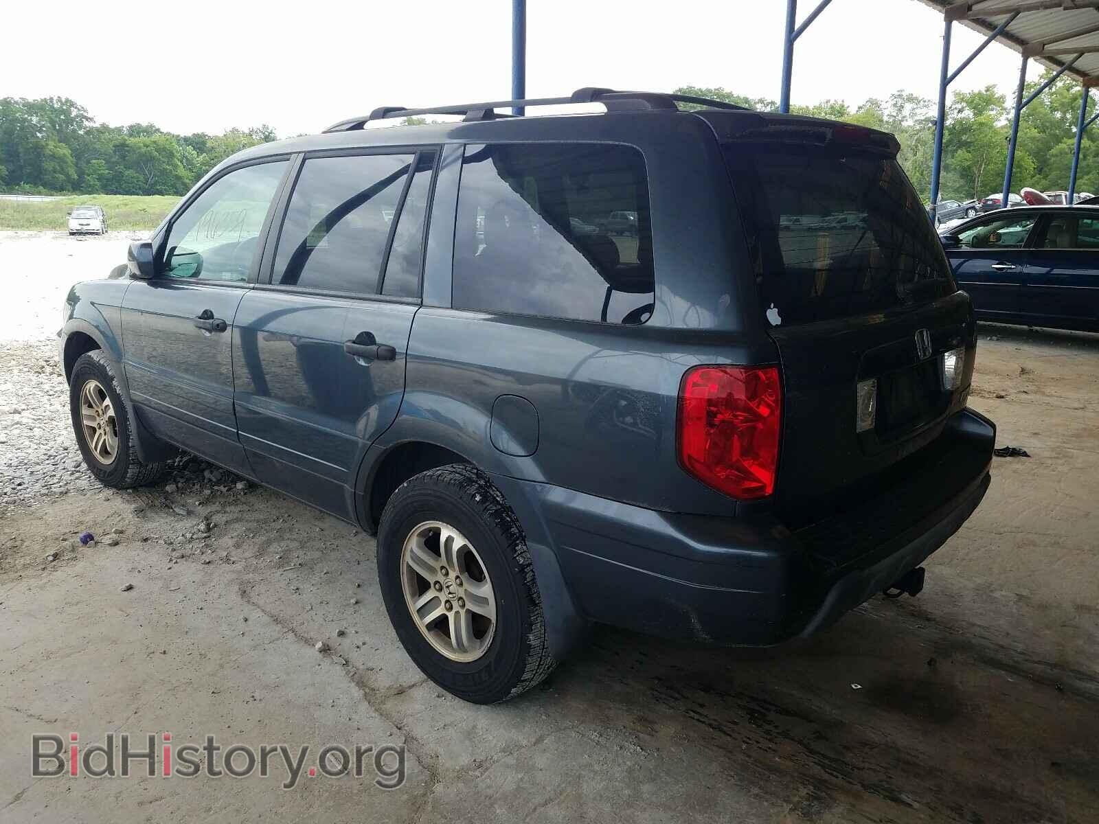 2005 HONDA PILOT - VIN: 5FNYF18595B016228 - Фото 3