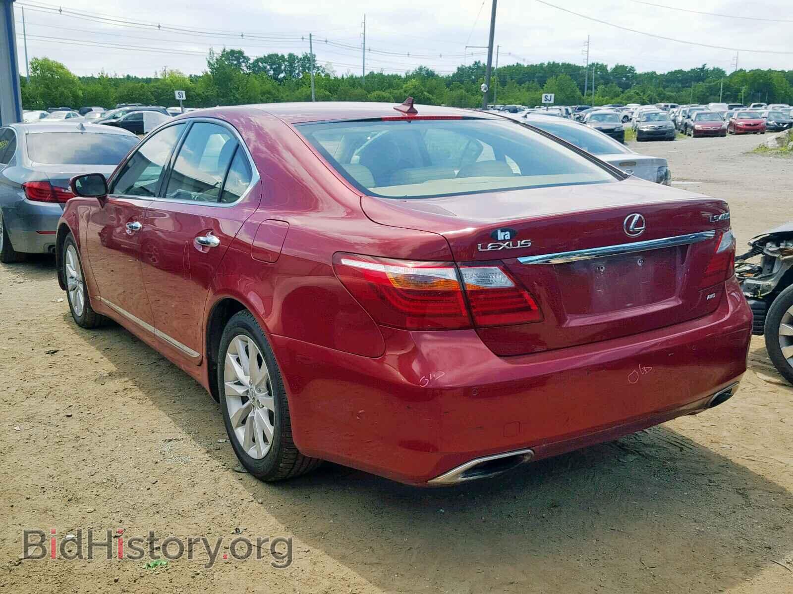 2010 LEXUS LS460 - VIN: JTHCL5EF2A5008442 - Фото 3