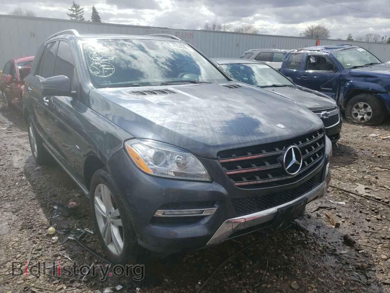 Photo 4JGDA2EB4CA021190 - MERCEDES-BENZ M-CLASS 2012