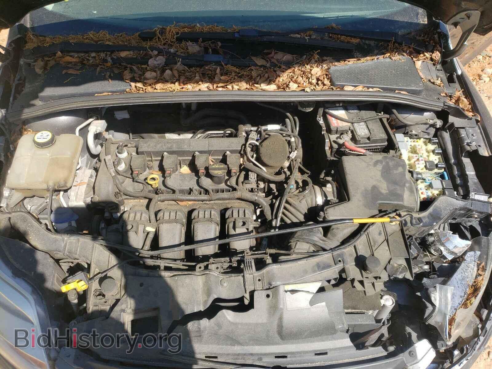 2013 FORD FOCUS - VIN: 1FADP3F25DL300036 - Фото 7