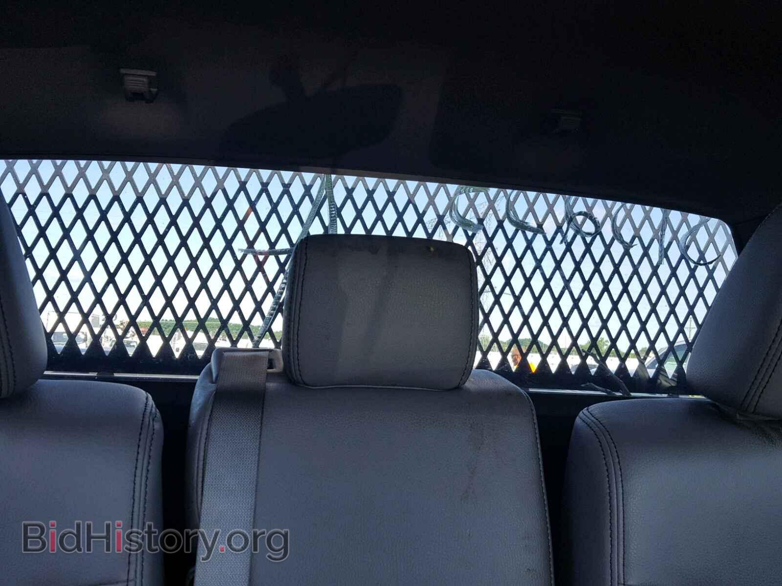 2011 FORD F150 - VIN: 1FTNF1CF2BKD23063 - Фото 6