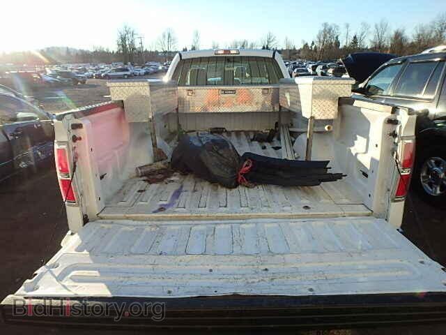 2013 FORD F150 - VIN: 1FTMF1CM1DKF53867 - Фото 6