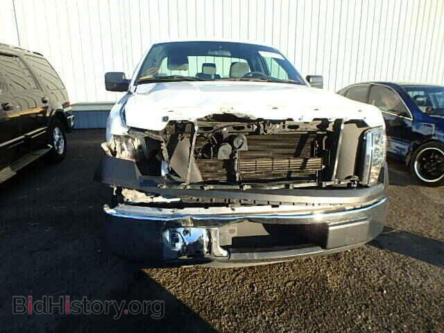 2013 FORD F150 - VIN: 1FTMF1CM1DKF53867 - Фото 9