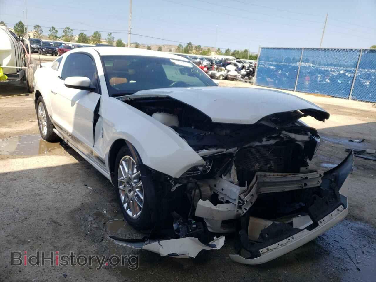 Photo 1ZVBP8AM6D5248988 - FORD MUSTANG 2013
