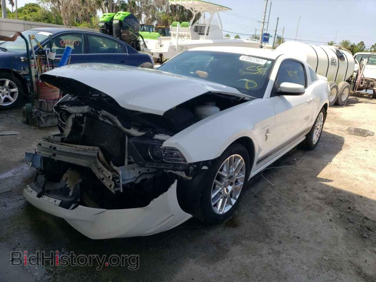 2013 FORD MUSTANG - VIN: 1ZVBP8AM6D5248988 - Фото 2