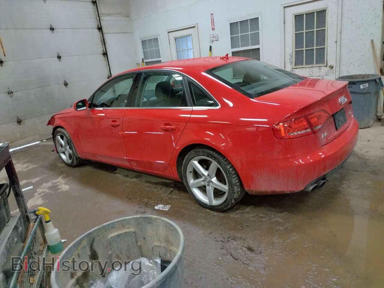 2011 AUDI A4 - VIN: WAUHFAFL3BN031576 - Фото 2