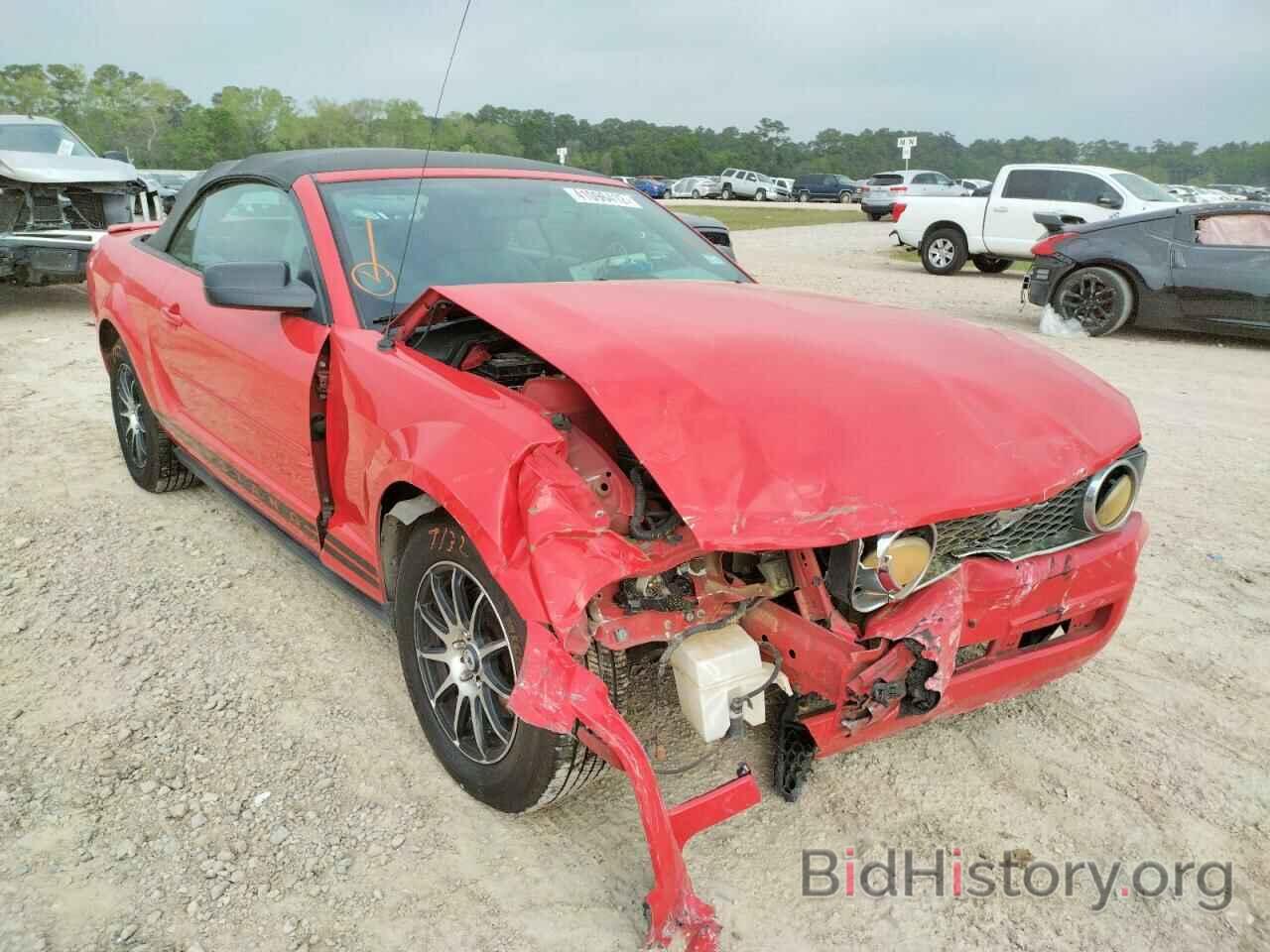 Photo 1ZVHT84N685134733 - FORD MUSTANG 2008