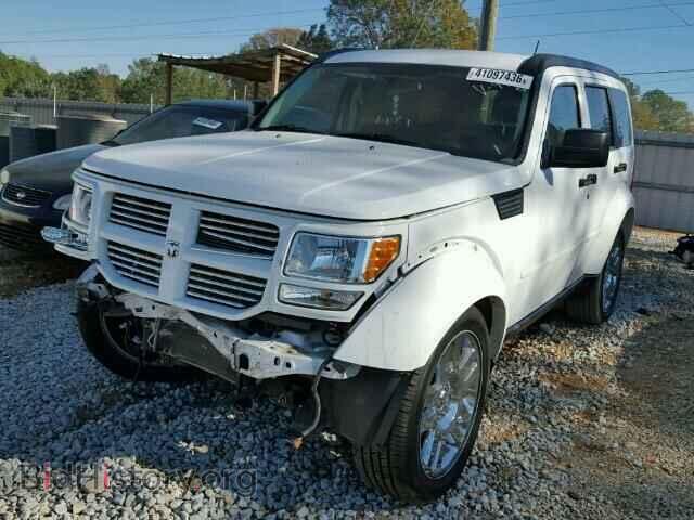 2011 DODGE NITRO - VIN: 1D4PT4GK1BW599711 - Фото 2