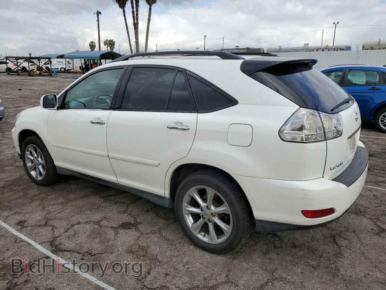 2009 LEXUS RX350 - VIN: 2T2GK31U89C059727 - Фото 2