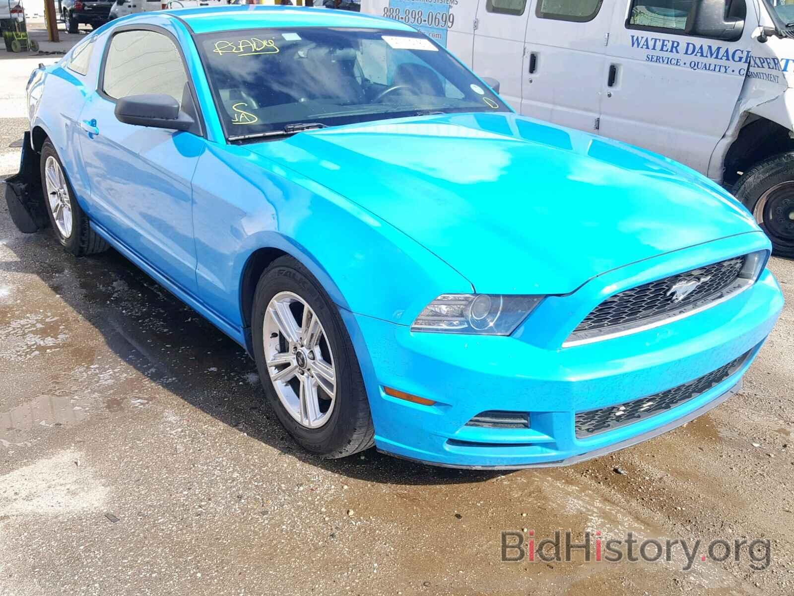 Photo 1ZVBP8AM9D5208811 - FORD MUSTANG 2013