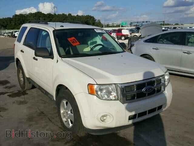 Фотография 1FMCU0DG3BKA04331 - FORD ESCAPE 2011
