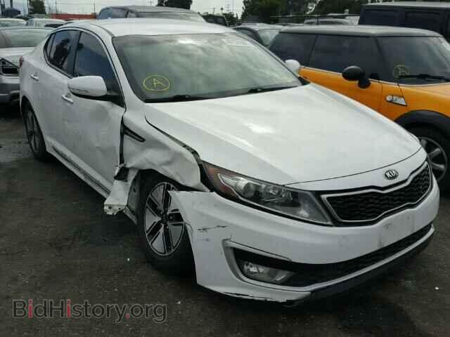 Фотография KNAGM4AD1D5055879 - KIA OPTIMA 2013