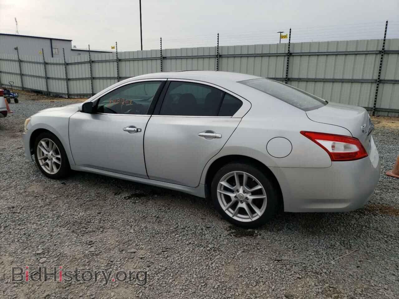 2009 NISSAN MAXIMA - VIN: 1N4AA51EX9C841396 - Фото 2