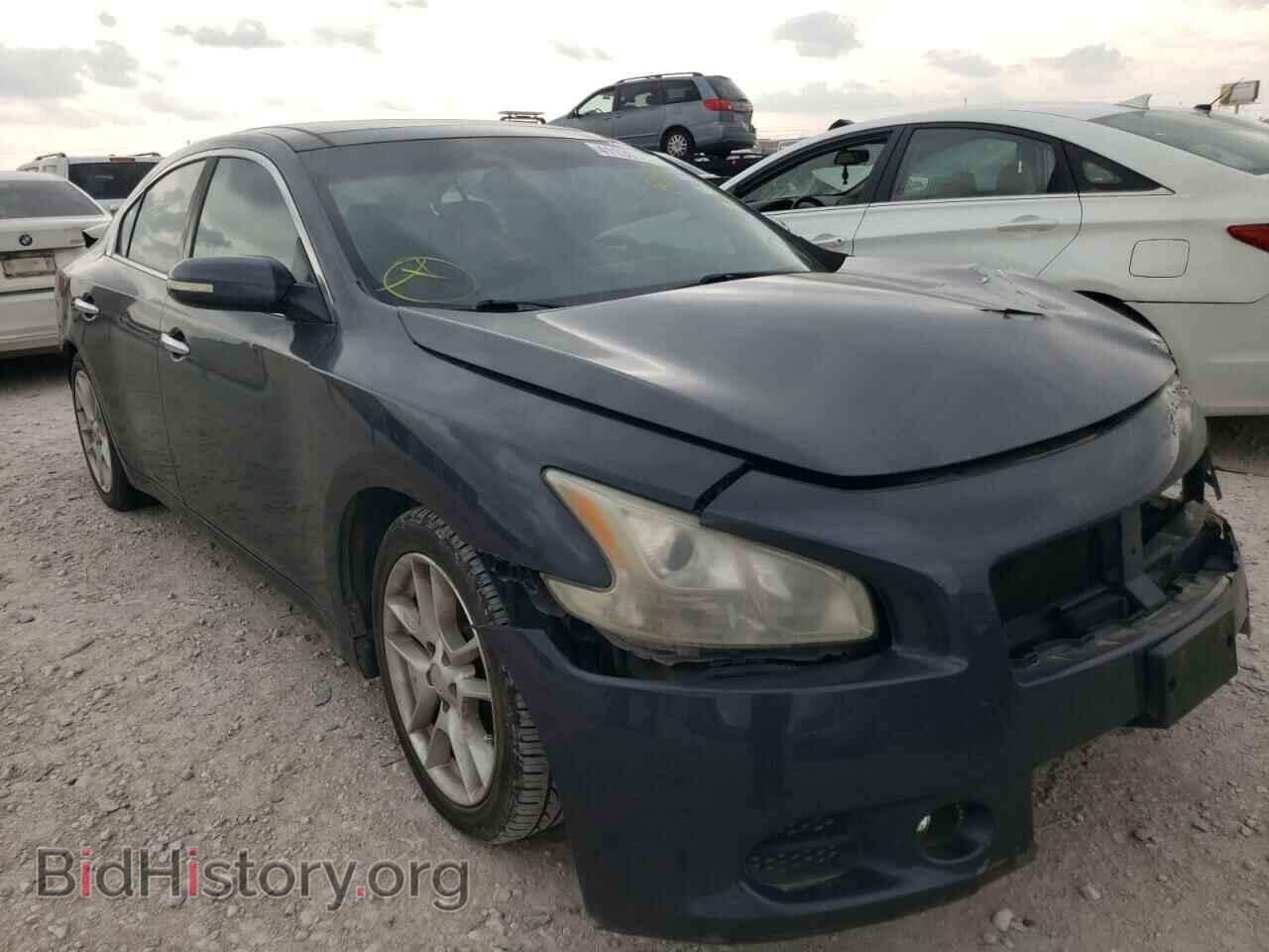 Photo 1N4AA5AP1AC807532 - NISSAN MAXIMA 2010