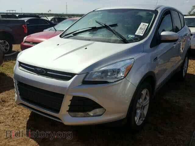 2014 FORD ESCAPE - VIN: 1FMCU0GX4EUA13043 - Photo 2