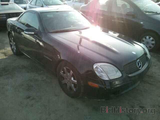 Photo WDBKK49F81F190970 - MERCEDES-BENZ SLK230 2001