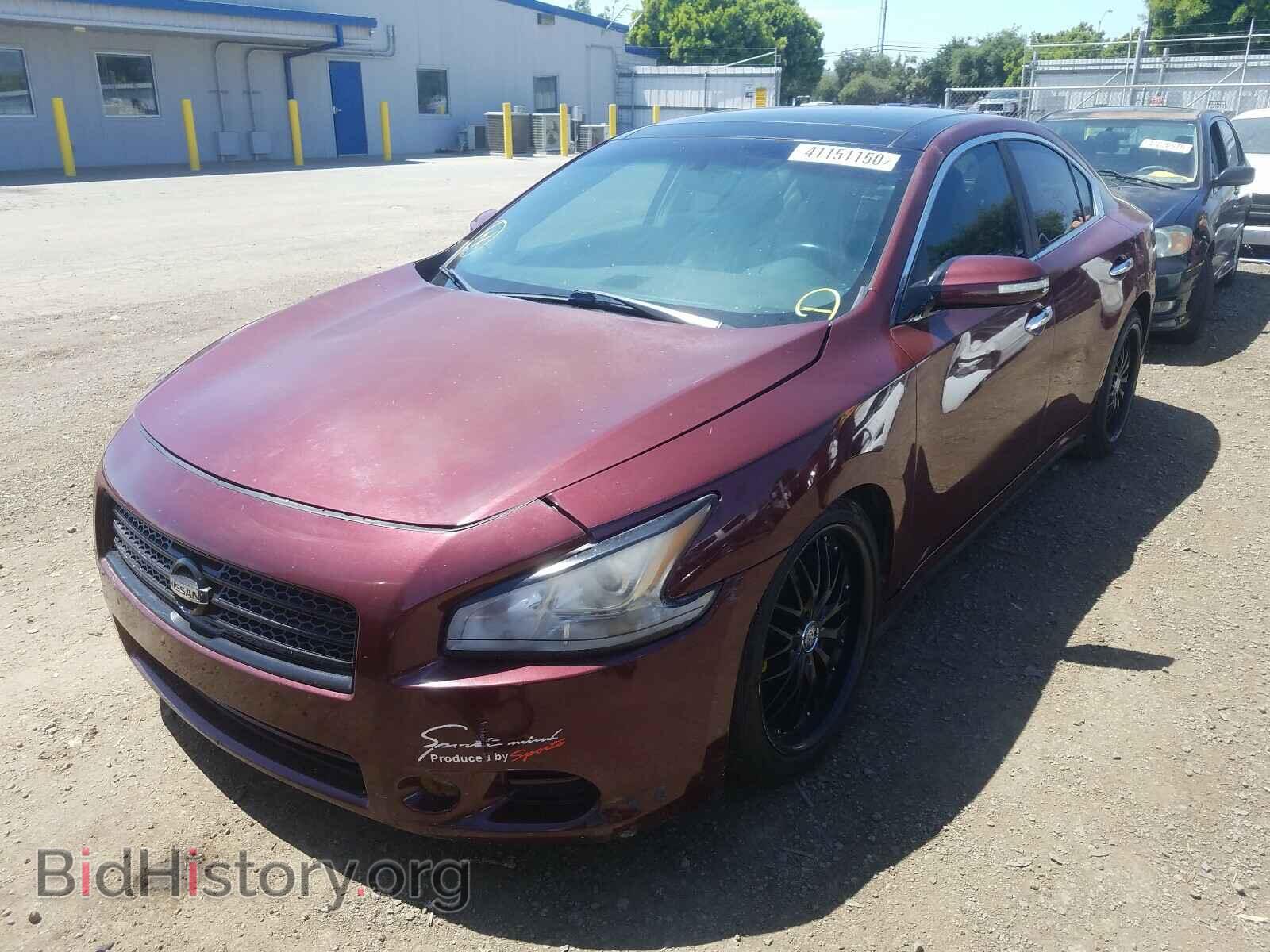 2011 NISSAN MAXIMA - VIN: 1N4AA5AP2BC800414 - Фото 2