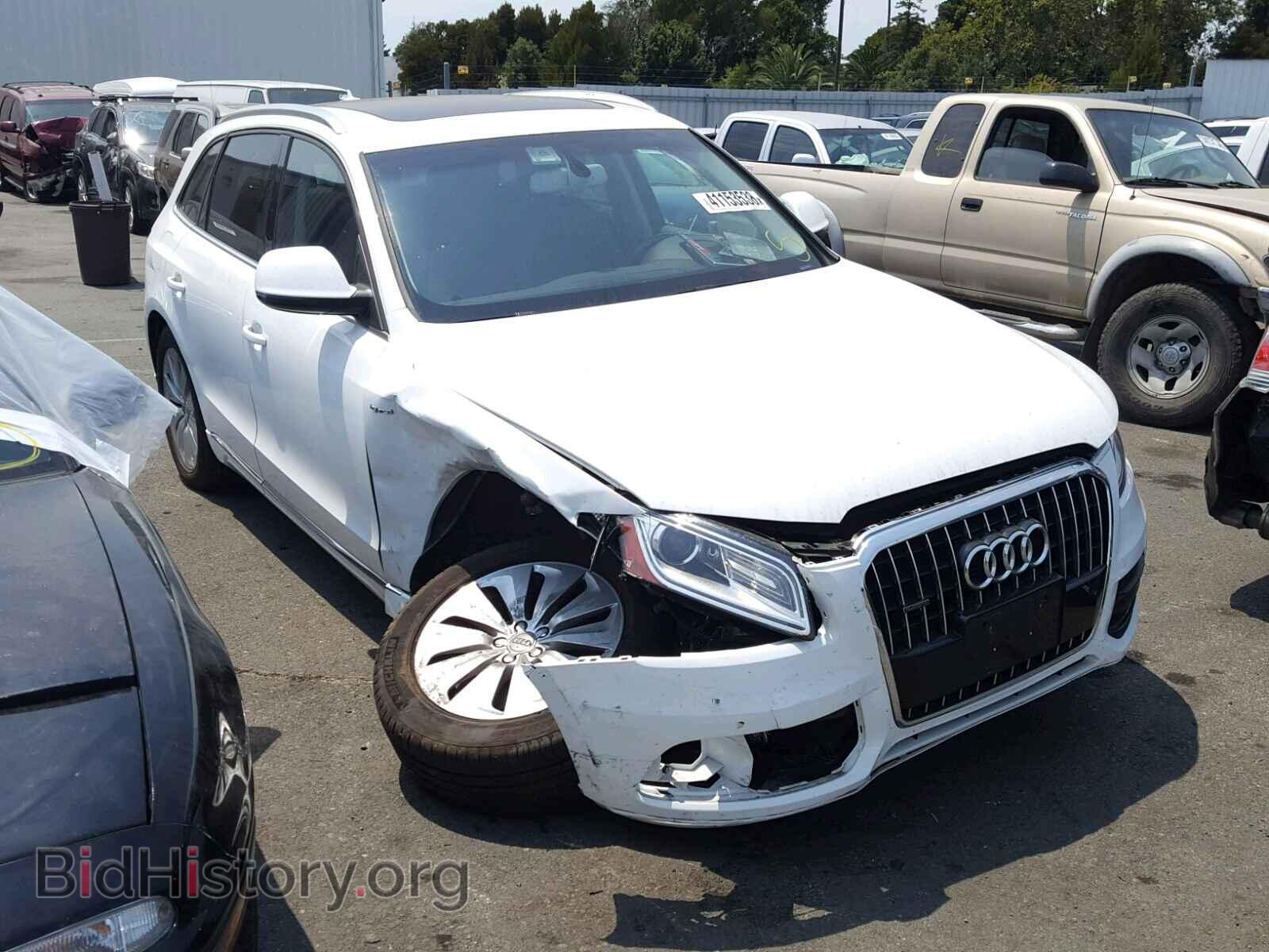 Фотография WA1C8AFPXDA003577 - AUDI Q5 2013
