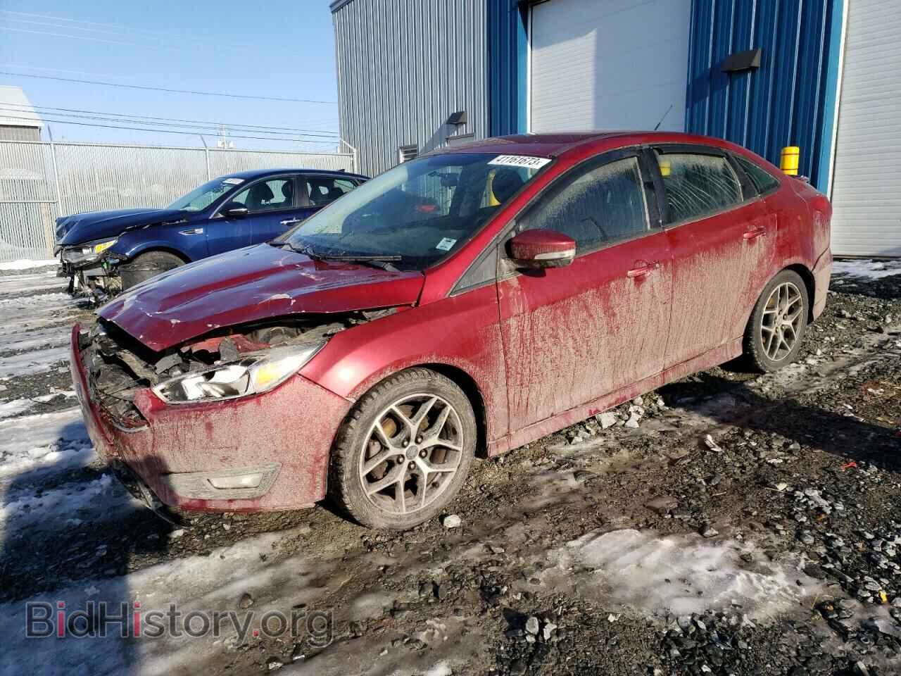 Фотография 1FADP3F24FL224764 - FORD FOCUS 2015