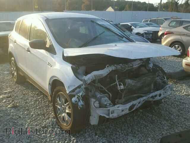 Photo 1FMCU0F70DUA48193 - FORD ESCAPE 2013