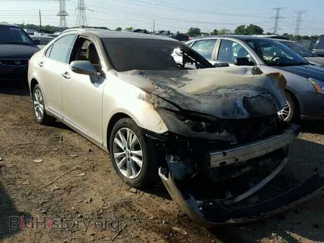 Photo JTHBK1EG2A2364441 - LEXUS ES 350 2010