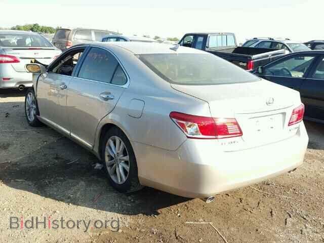 2010 LEXUS ES 350 - VIN: JTHBK1EG2A2364441 - Фото 3